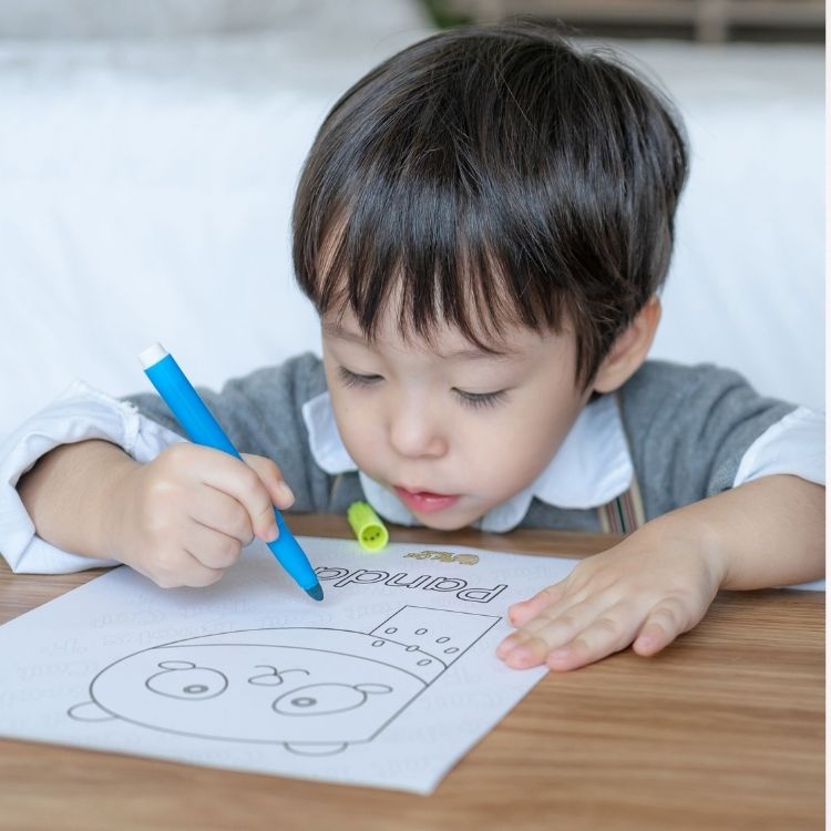 Full Phonics Programme Stage 1, 2 & 3 + Plus Advanced Material