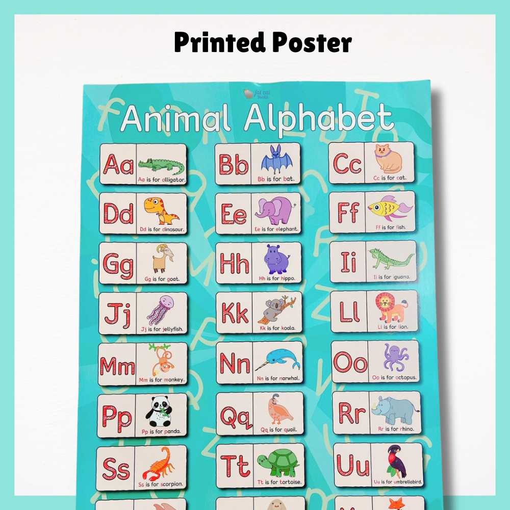 Stage 1, Printed, Phonics Programme, My Alphabet