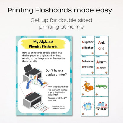 Fat Cat Phonics: Beginner Programme (Stage 1 + 2)