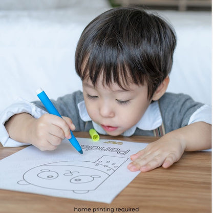 Fat Cat Phonics: Beginner Programme (Stage 1 + 2)