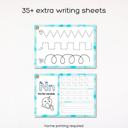 Fat Cat Phonics: Beginner Programme (Stage 1 + 2)
