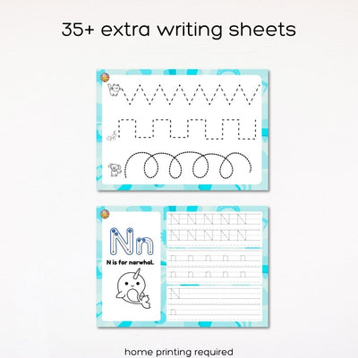 Fat Cat Phonics: Beginner Programme (Stage 1 + 2)