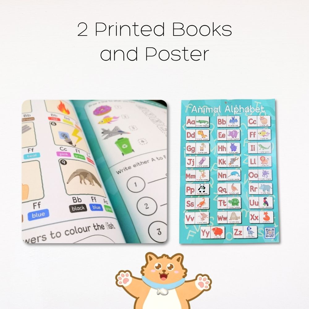 Fat Cat Phonics: Beginner Programme (Stage 1 + 2)