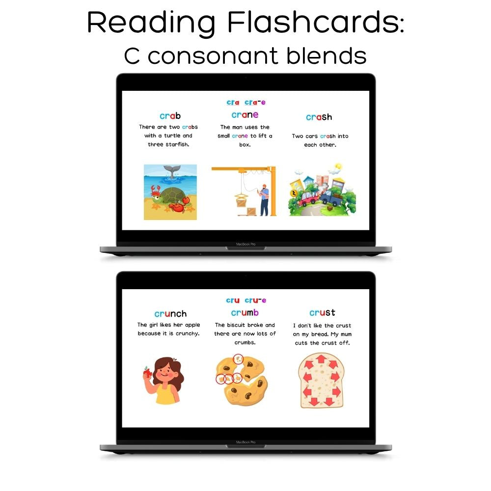 Fat Cat Phonics: Full Programme (Stage 1, 2 & 3 + Plus Advanced Material)