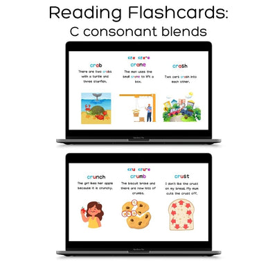 Fat Cat Phonics: Full Programme (Stage 1, 2 & 3 + Plus Advanced Material)