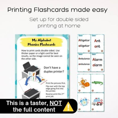 Taster - Fat Cat Phonics Programme