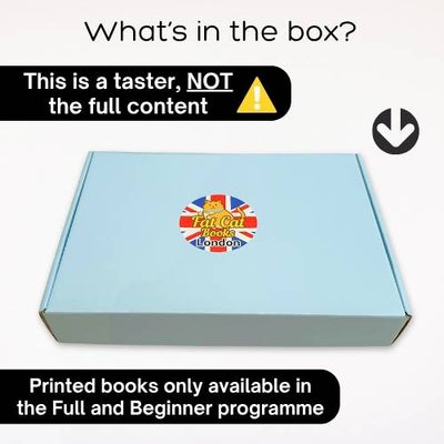 Taster - Fat Cat Phonics Programme