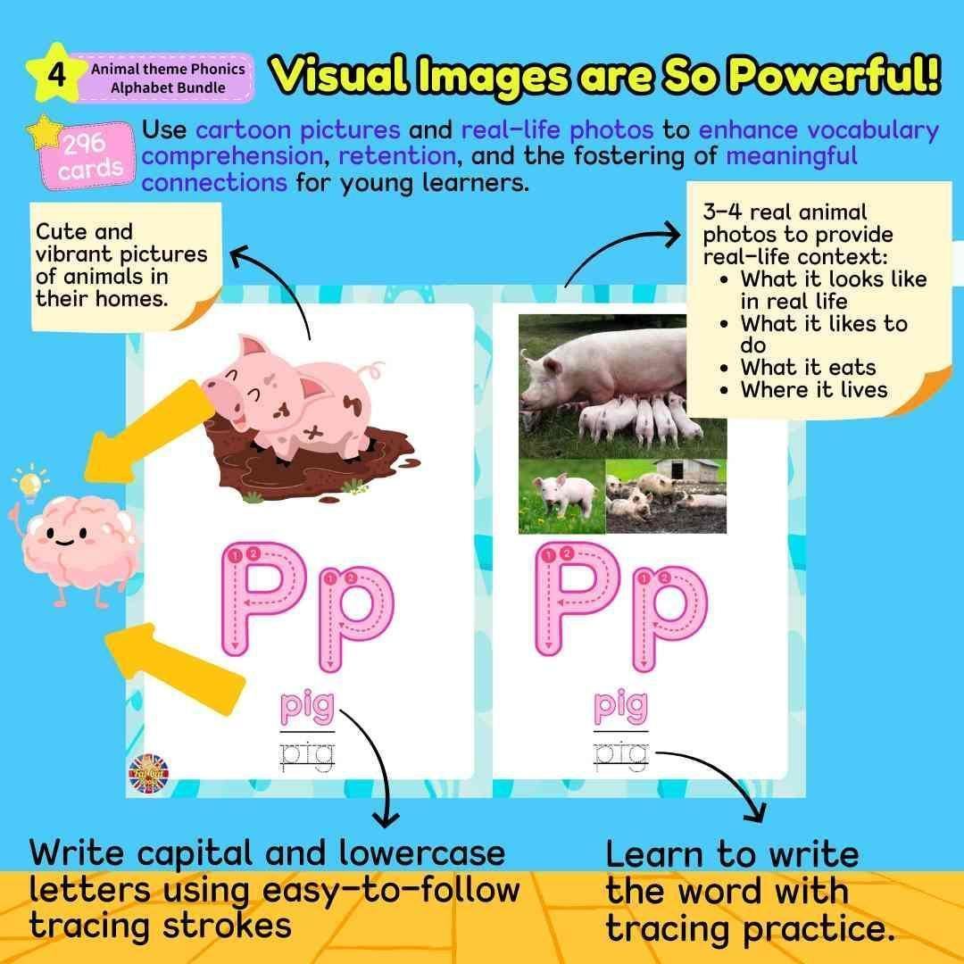 ABC Phonics Animal Alphabet Phonics Activities Bundle, Zoo Animals ABC ...